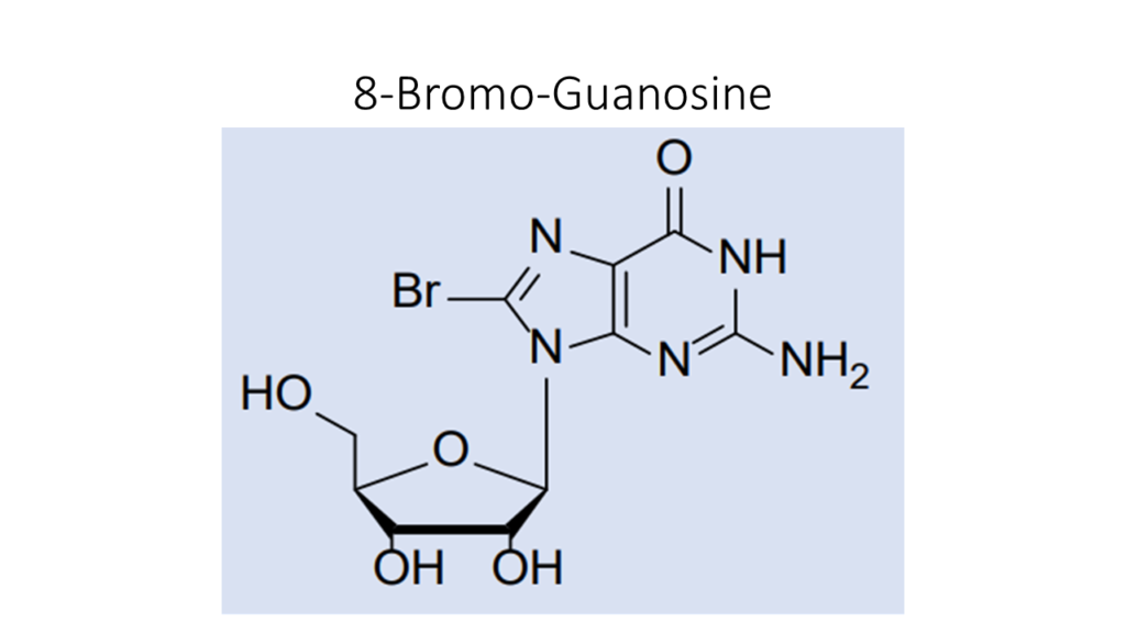 8 Bromo Guanosine Akonscientific