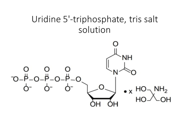 Uridine 5 Triphosphate Tris Salt Solution Akonscientific