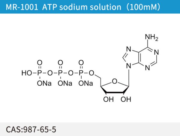 ATP Sodium solution