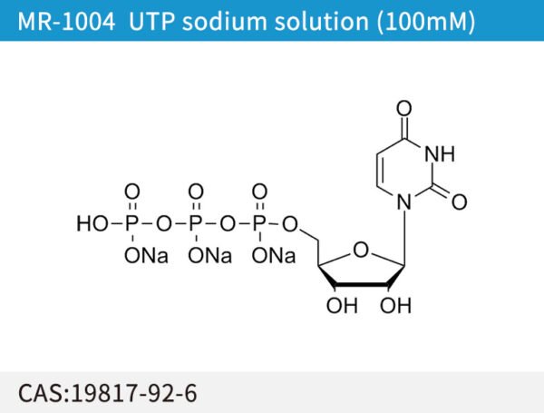UTP sodium solution (100mM/L)