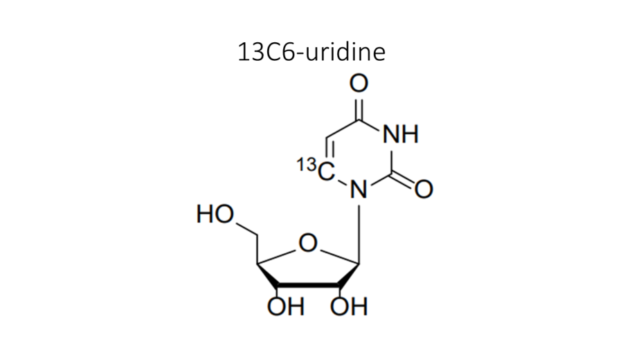13c6-uridine