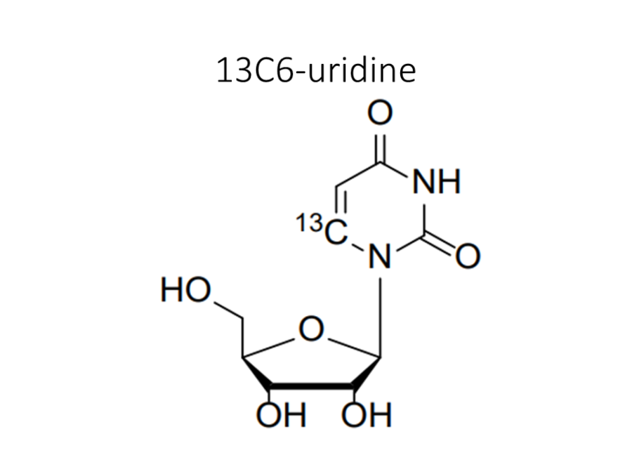 13c6-uridine
