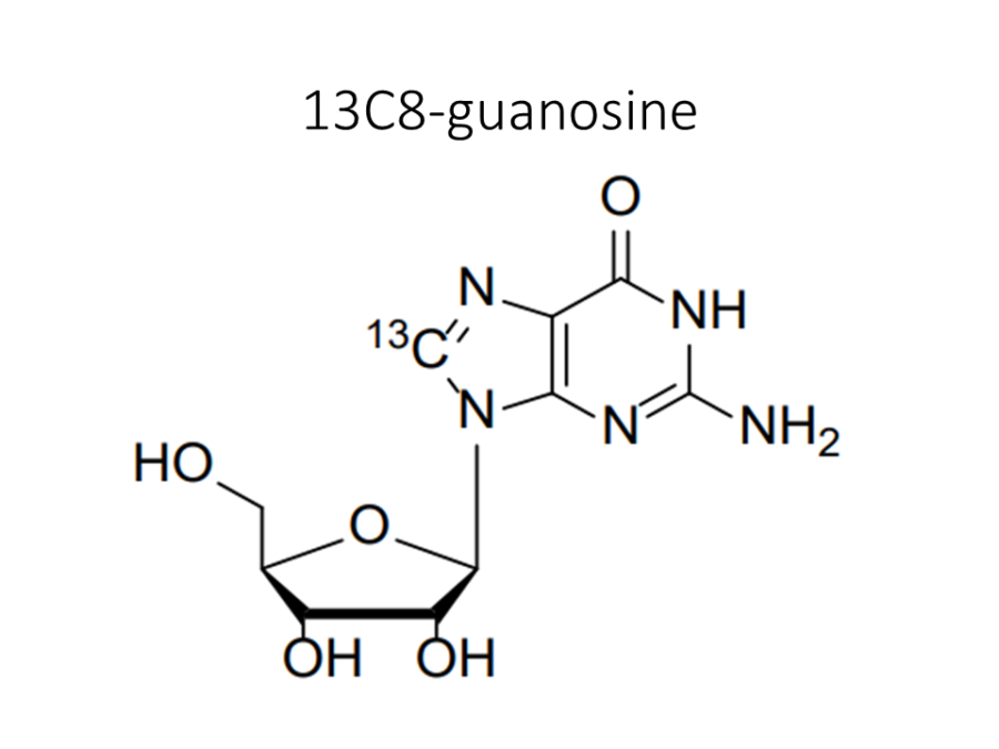 13c8-guanosine