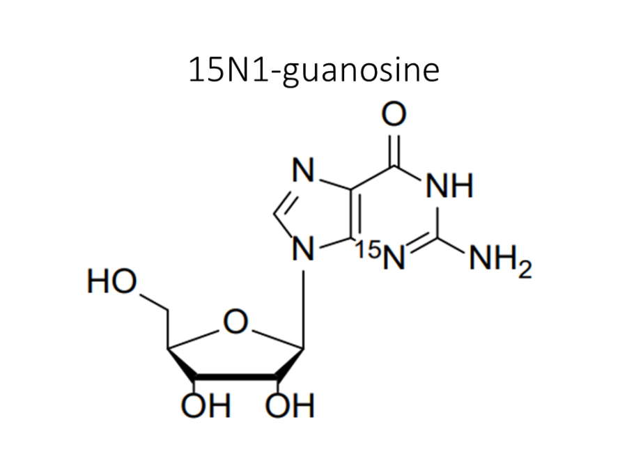15n1-guanosine