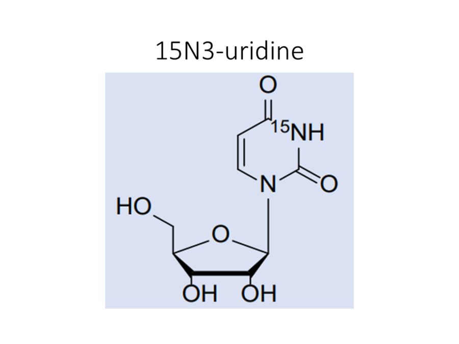 15n3-uridine