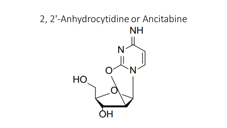 2-2-anhydrocytidine-or-ancitabine