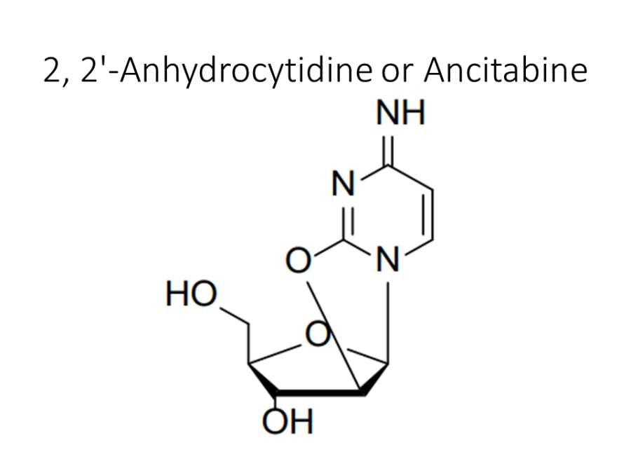 2-2-anhydrocytidine-or-ancitabine