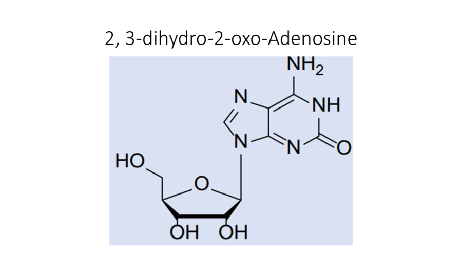 2-3-dihydro-2-oxo-adenosine