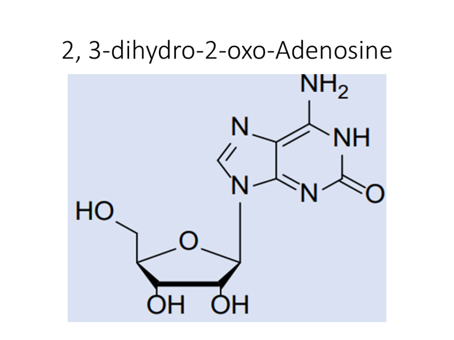 2-3-dihydro-2-oxo-adenosine
