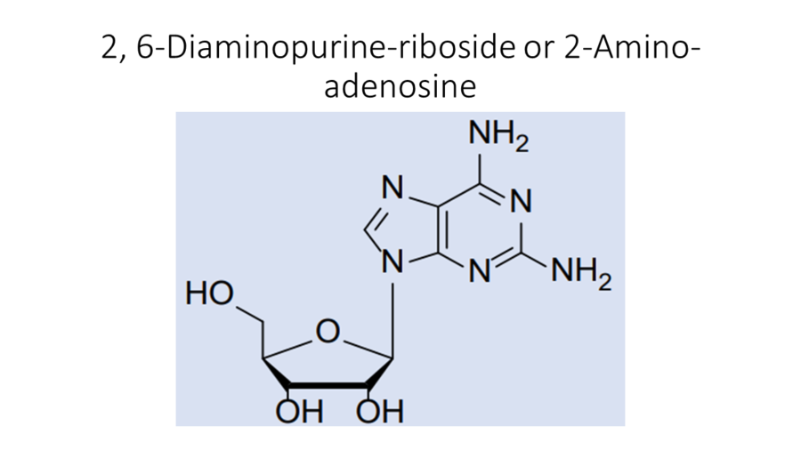 2-6-diaminopurine-riboside-or-2-amino-adenosine