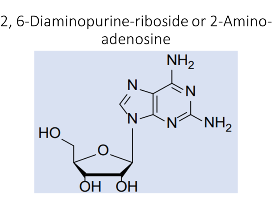 2-6-diaminopurine-riboside-or-2-amino-adenosine