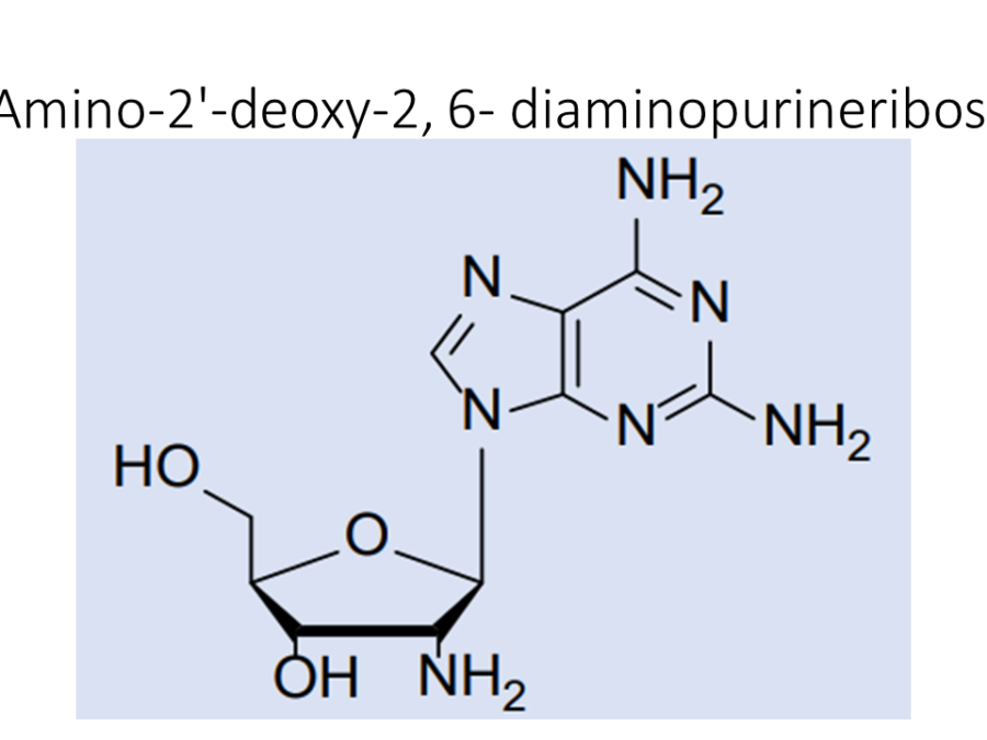 2-amino-2-deoxy-2-6-diaminopurineriboside
