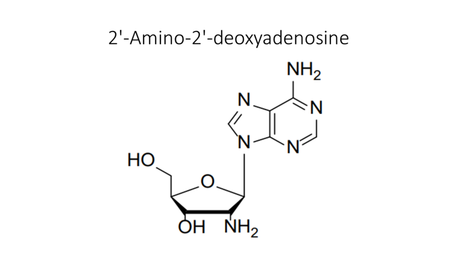 2-amino-2-deoxyadenosine