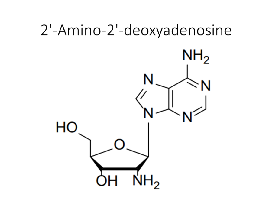 2-amino-2-deoxyadenosine
