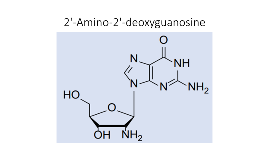 2-amino-2-deoxyguanosine