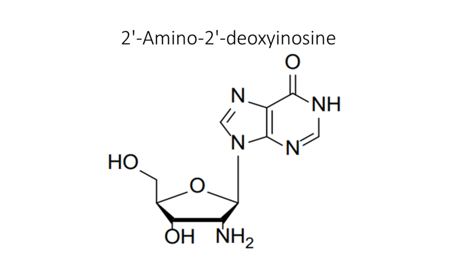 2-amino-2-deoxyinosine