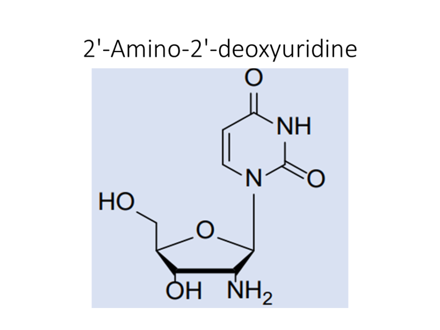 2-amino-2-deoxyuridine