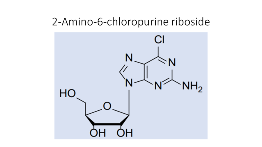2-amino-6-chloropurine-riboside