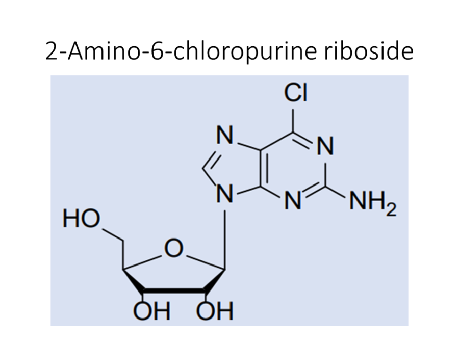 2-amino-6-chloropurine-riboside