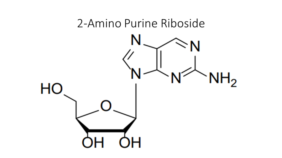 2-amino-purine-riboside