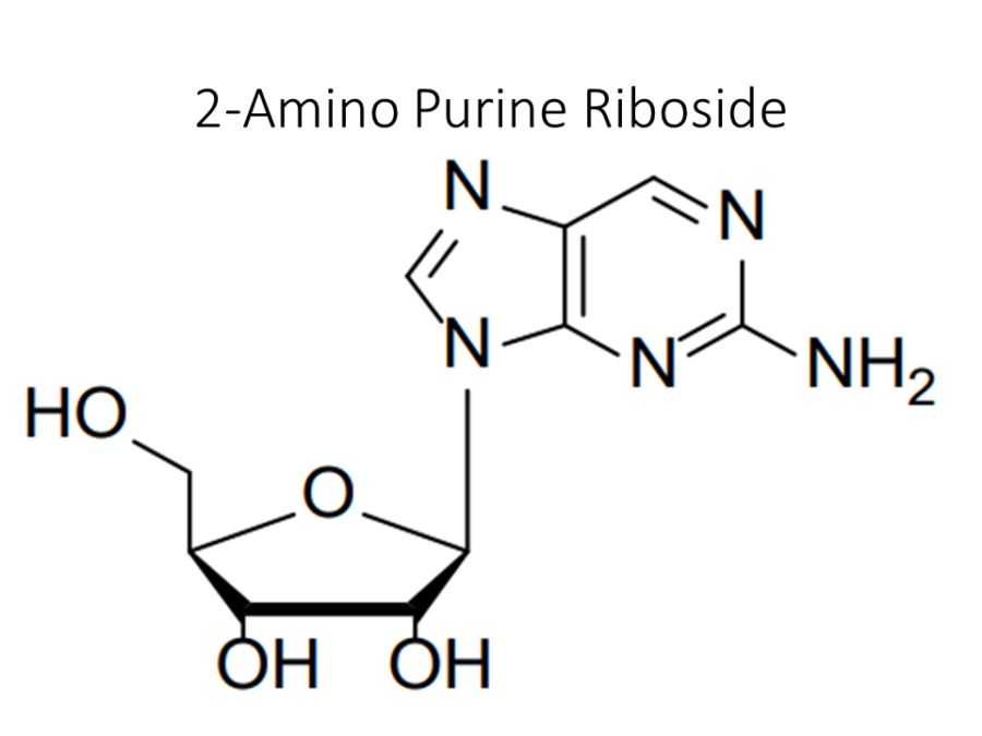 2-amino-purine-riboside