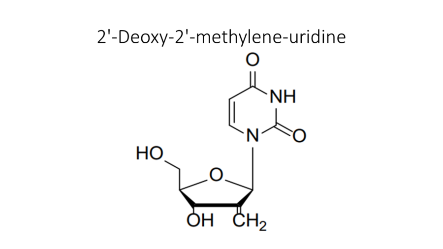 2-deoxy-2-methylene-uridine