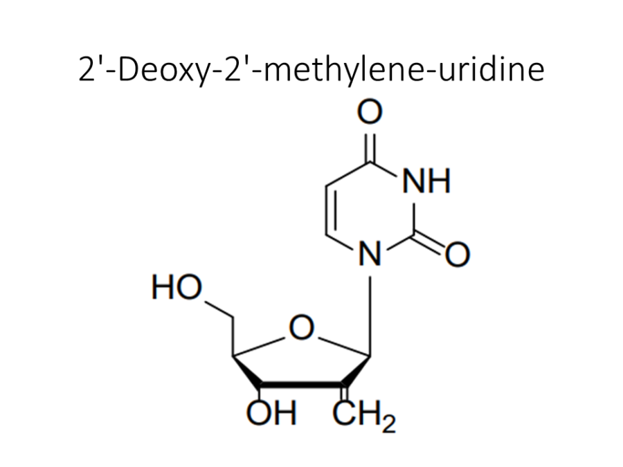 2-deoxy-2-methylene-uridine