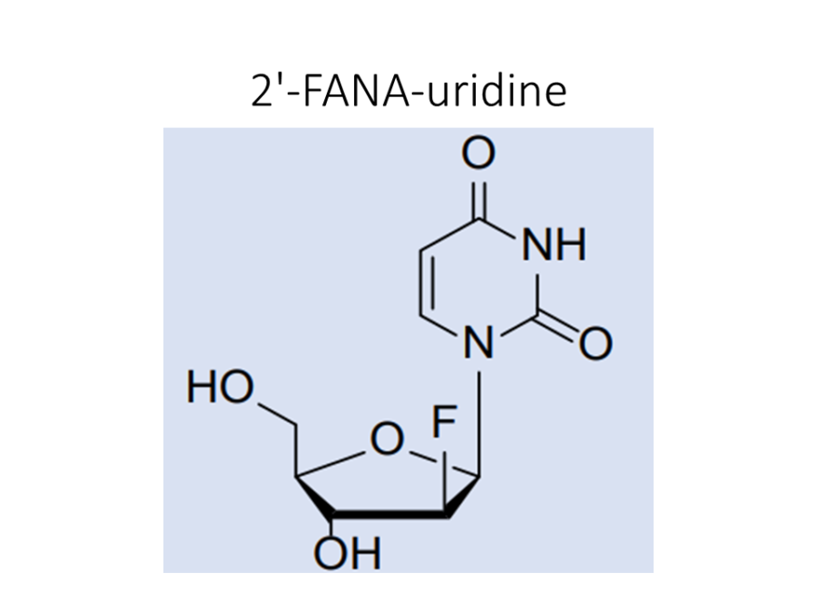 2-fana-uridine