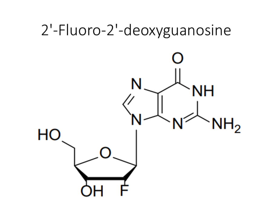 2-fluoro-2-deoxyguanosine