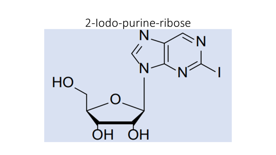 2-iodo-purine-ribose