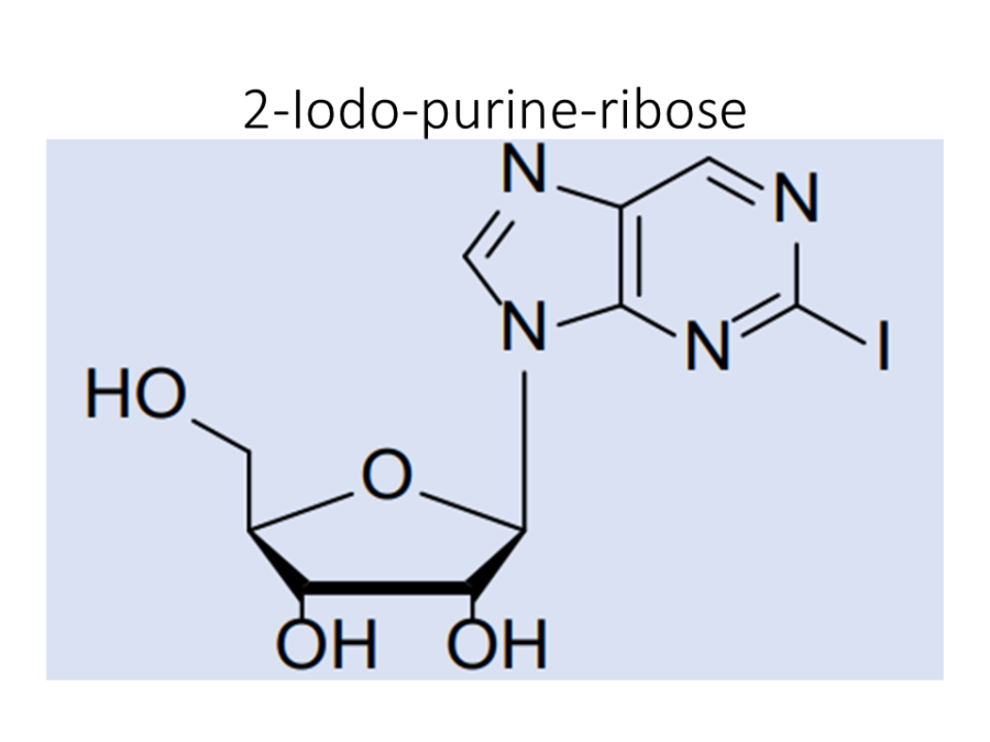 2-iodo-purine-ribose