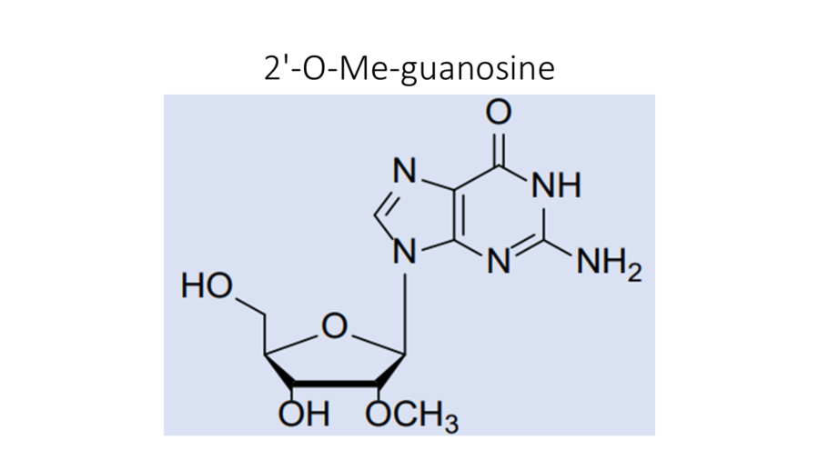 2-o-me-guanosine