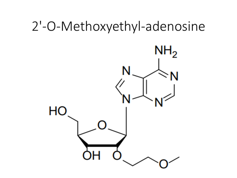 2-o-methoxyethyl-adenosine