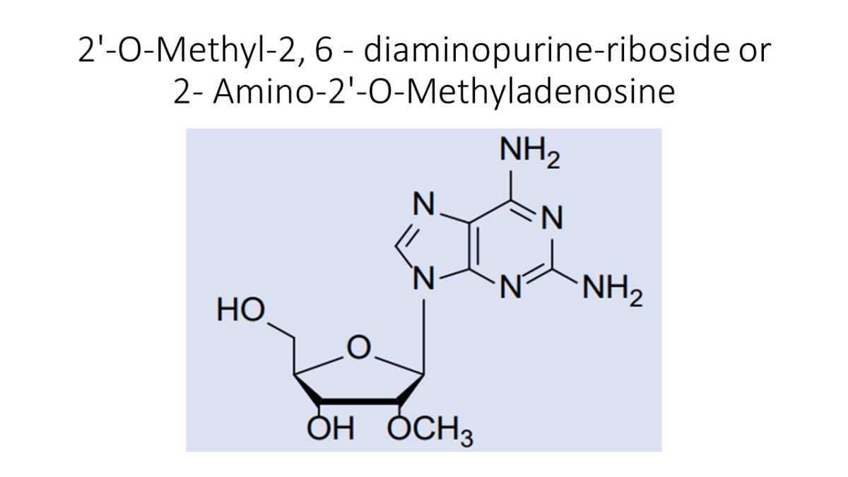 2′-fluoro-2, 6-diaminopurine-2′-deoxyriboside - Akonscientific