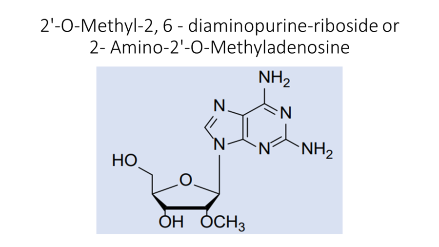2-o-methyl-2-6-diaminopurine-riboside-or-2-amino-2-o-methyladenosine