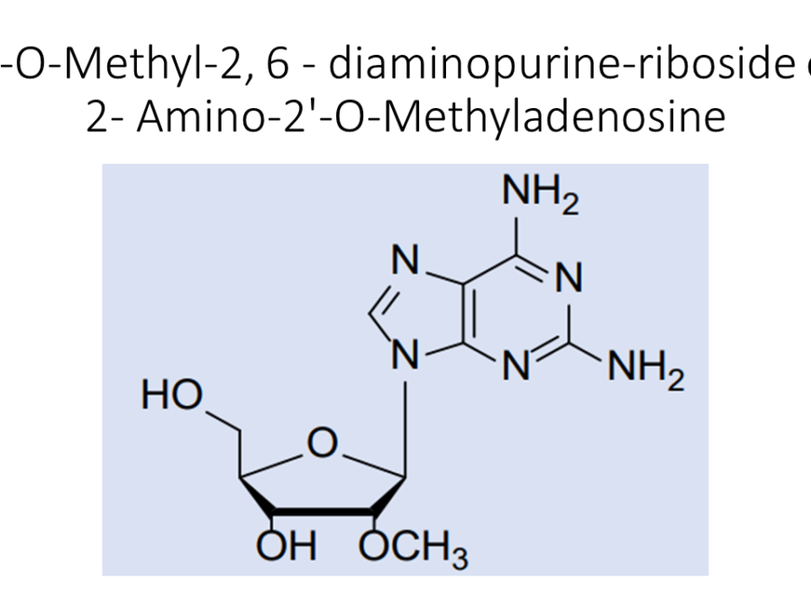 2-o-methyl-2-6-diaminopurine-riboside-or-2-amino-2-o-methyladenosine