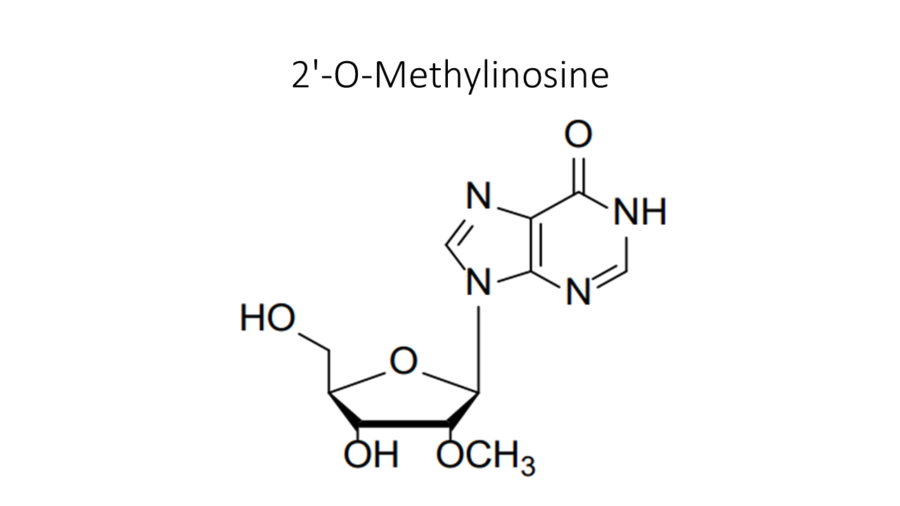 2-o-methylinosine