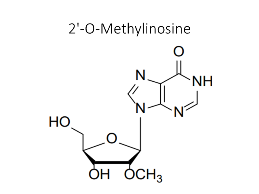 2-o-methylinosine