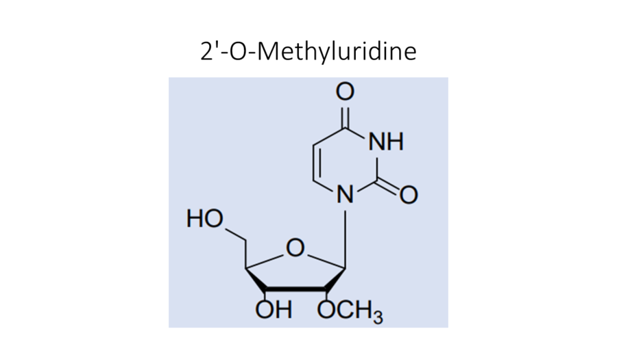 2-o-methyluridine
