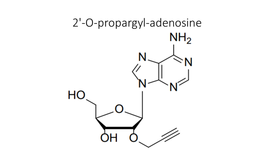 2-o-propargyl-adenosine