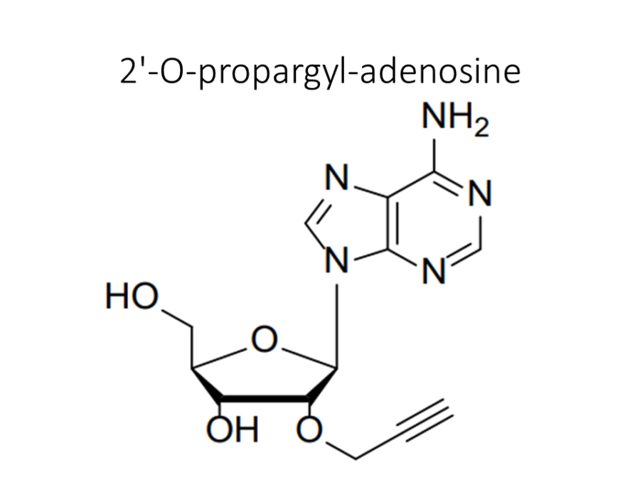2-o-propargyl-adenosine