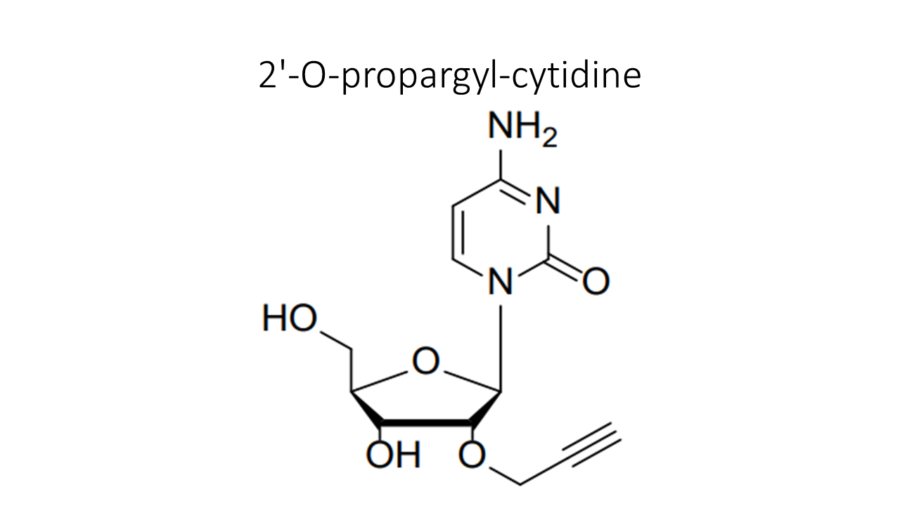 2-o-propargyl-cytidine