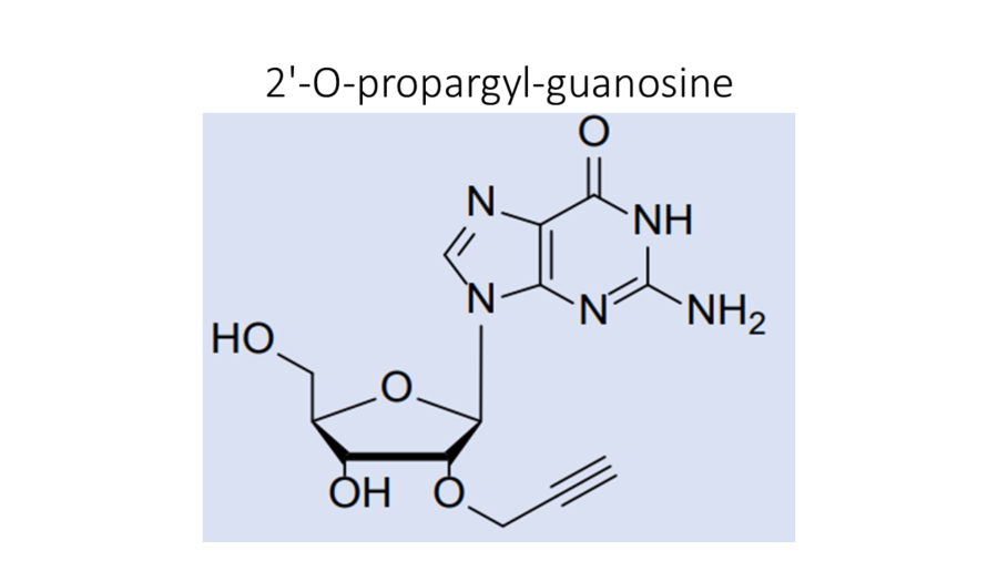 2-o-propargyl-guanosine