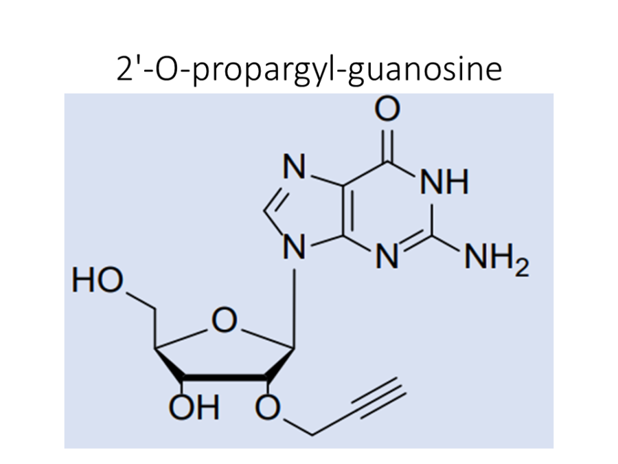2-o-propargyl-guanosine
