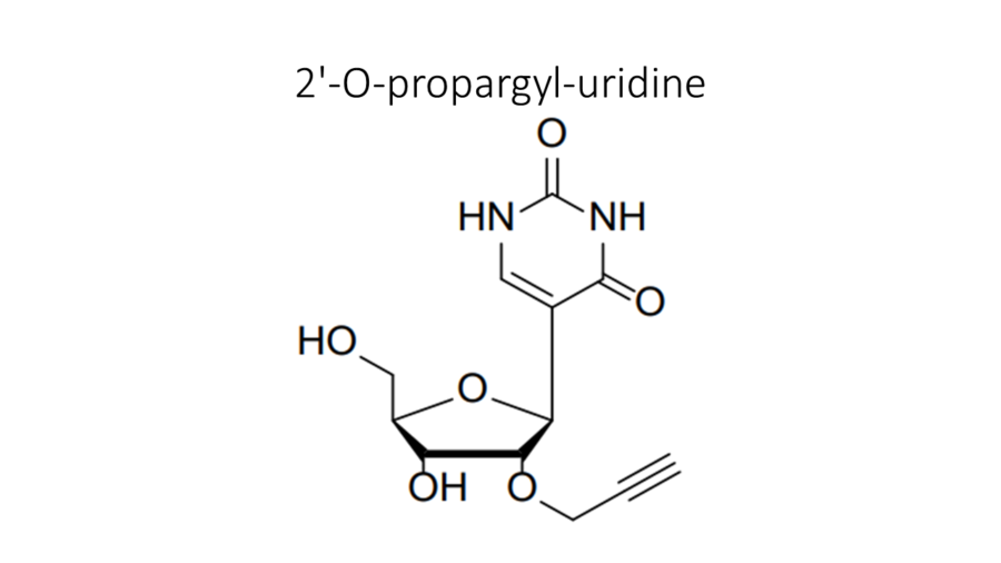 2-o-propargyl-uridine