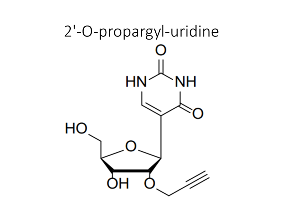 2-o-propargyl-uridine