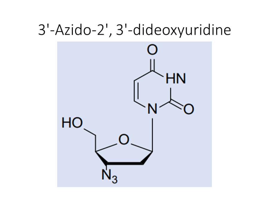 3-azido-2-3-dideoxyuridine