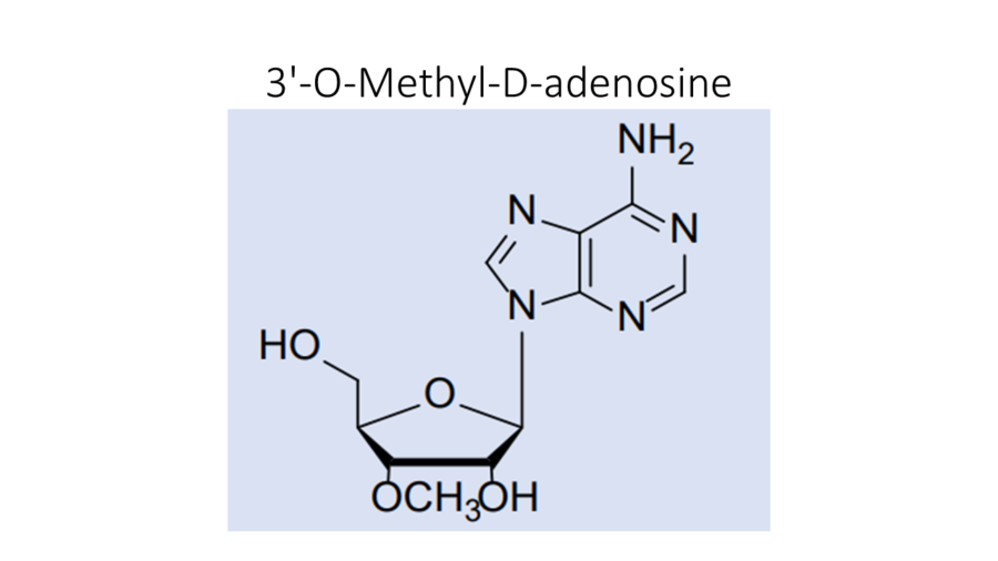 3-o-methyl-d-adenosine