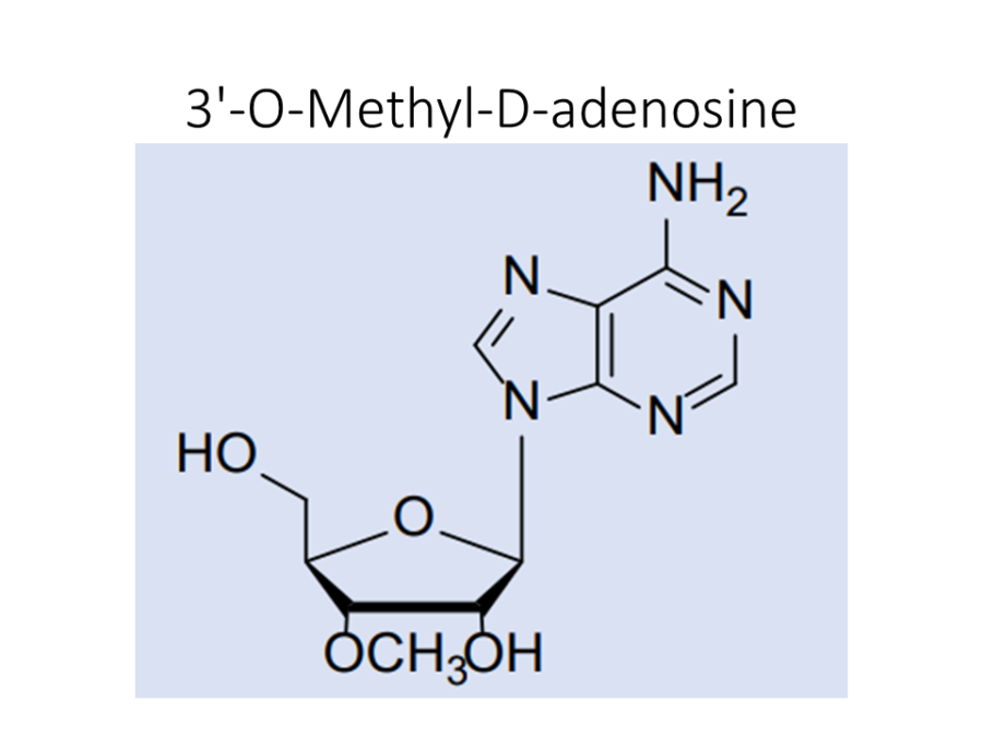 3-o-methyl-d-adenosine