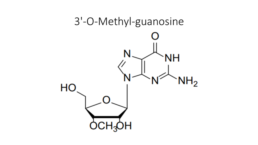 3-o-methyl-guanosine